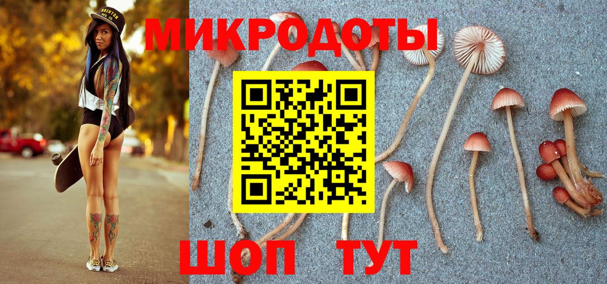 Мурино  Галлюциногенные грибы мухоморы  Галлюциногенные грибы прущие грибы  Вход с VPN 