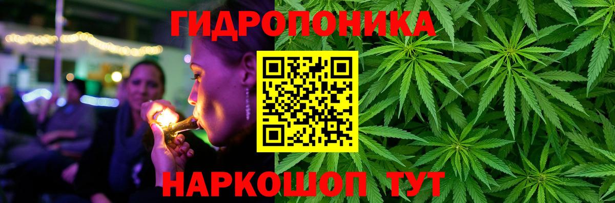 Каннабис Ganja  Бошки марихуана конопля  Вход с VPN  Бошки марихуана семена  Мурино 